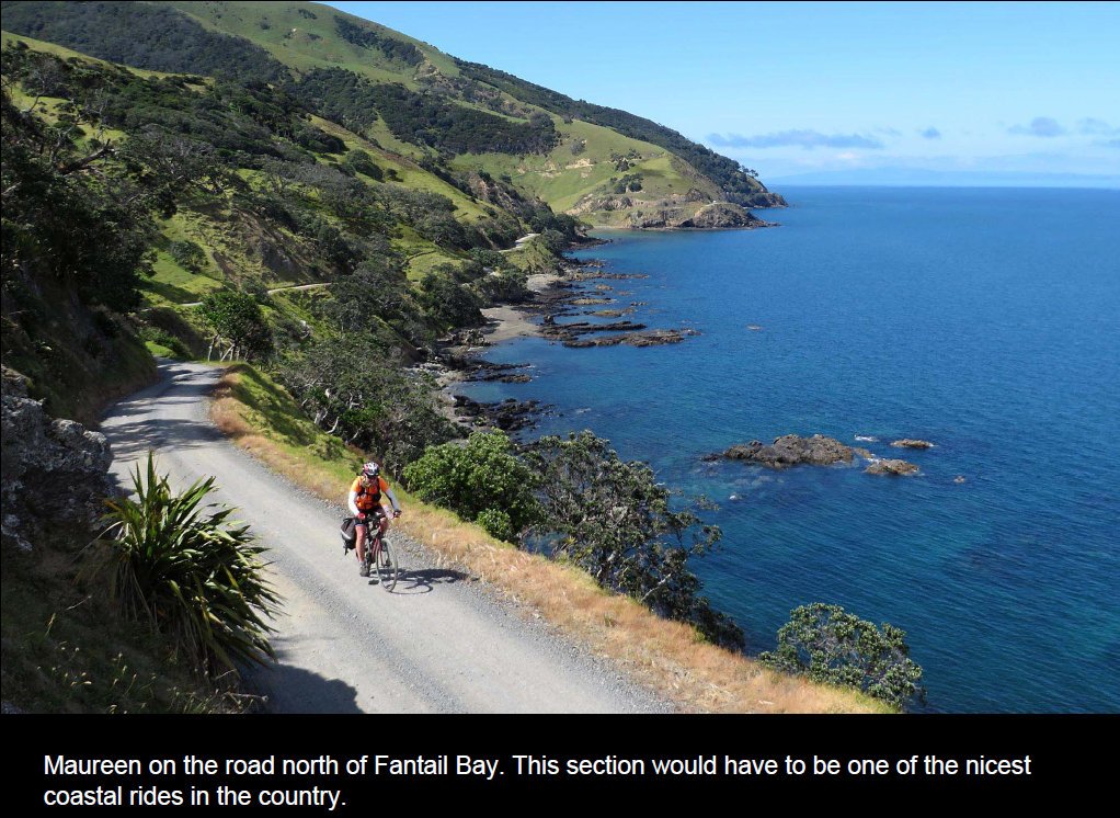 coro201511.jpg (252992 bytes)